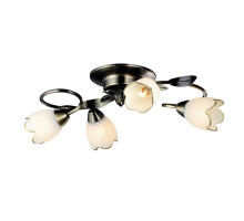 Потолочная люстра Arte Lamp 4 A6061PL-4AB