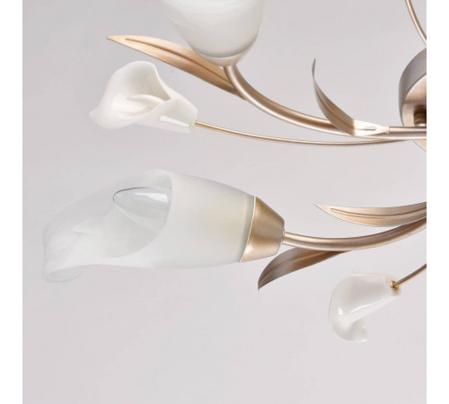 Потолочная люстра MW-Light Восторг 19 242016205