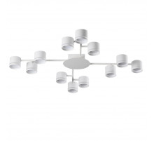 Потолочная люстра Lumion Gareta 8235/12C