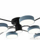Потолочная люстра Arte Milano Ferrara 253039/8+1 Bk/Gr