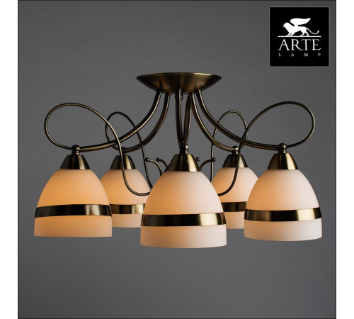 Потолочная люстра Arte Lamp 55 A6192PL-5AB