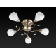Потолочная люстра Toplight Lorin TL3570X-05AB