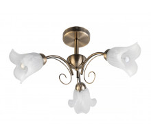 Потолочная люстра Toplight Magdalene TL3490X-03AB