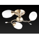 Потолочная люстра Toplight Alana TL3580X-03AB