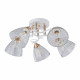 Потолочная люстра Arte Milano Amalfi 321395/5A WH+FG