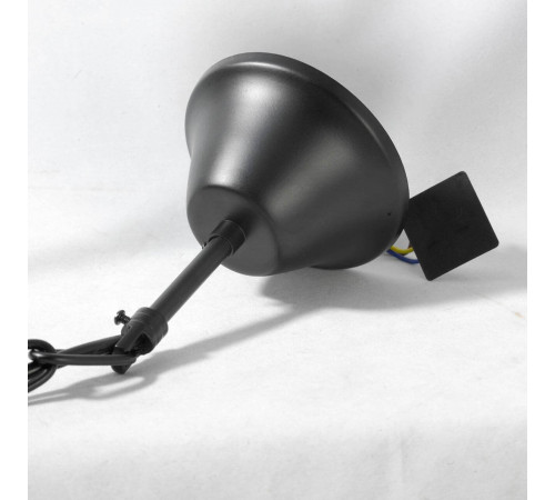 Подвесная люстра Lussole Lgo LSP-9954 Подвесная люстра Lussole Lgo LSP-9954