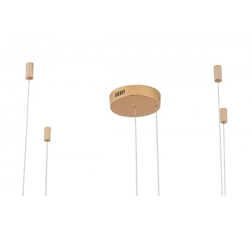 Подвесная люстра Zortes Ringolight ZRS.33320.63F Подвесная люстра Zortes Ringolight ZRS.33320.63F