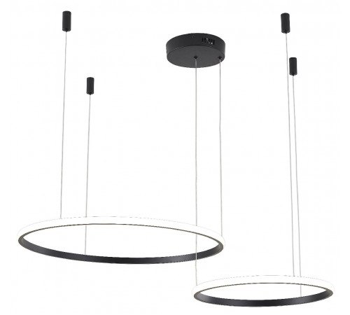 Подвесная люстра Zortes Ringolight ZRS.33321.63F Подвесная люстра Zortes Ringolight ZRS.33321.63F