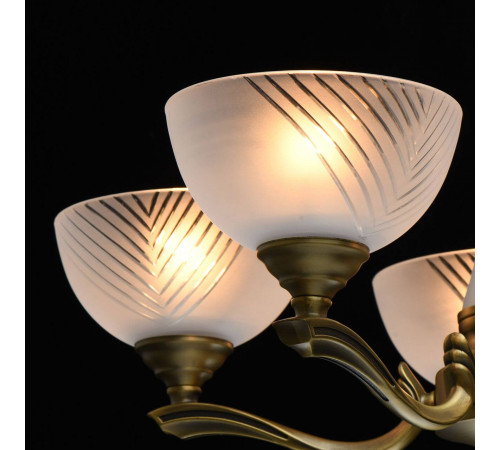 Подвесная люстра MW-Light Афродита 317014705