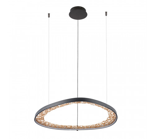 Подвесная люстра Arte Lamp Cinta A1847SP-46BK Подвесная люстра Arte Lamp Cinta A1847SP-46BK
