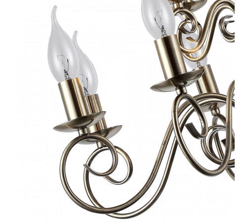 Подвесная люстра Arte Lamp A1129LM-12AB Подвесная люстра Arte Lamp A1129LM-12AB