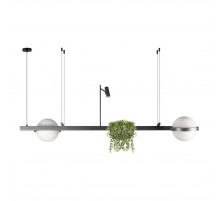 Подвесная люстра Loft IT Jardin 10121/D Dark grey