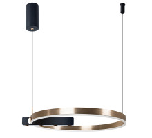 Подвесная люстра Arte Lamp Veritate A2221SP-1BR
