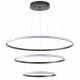 Подвесная люстра Zortes Ringolight ZRS.33320.120C