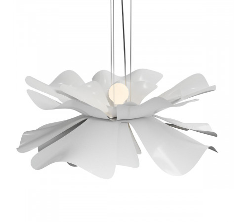 Подвесная люстра Lightera Chad LE116L-40W Подвесная люстра Lightera Chad LE116L-40W