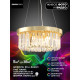 Подвесная люстра Lumien Hall Daneil LH0057/6P-GD-CL