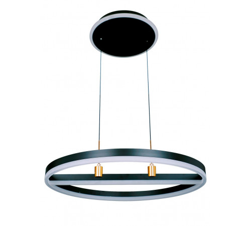 Подвесная люстра Natali Kovaltseva HIGH-TECH LED LAMPS 82048 Подвесная люстра Natali Kovaltseva HIGH-TECH LED LAMPS 82048