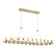 Подвесная люстра ST Luce Monro SL6610.203.26