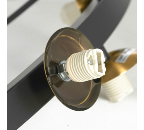 Подвесная люстра Lussole LSP-8750 Подвесная люстра Lussole LSP-8750