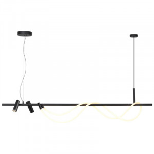 Подвесная люстра Odeon Light Corda 4391/40L