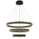Подвесная люстра Zortes Duble-R ZRS.30515.228