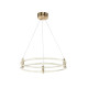 Подвесная люстра Zortes Ringer ZRS.57792.116