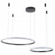 Подвесная люстра Zortes Ringolight ZRS.33321.63F