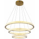 Подвесная люстра Zortes Grace ZRS.30220.228