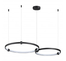 Подвесная люстра Lumion Diego 6533/80L