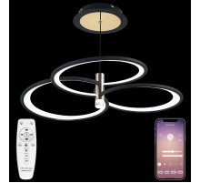 Подвесная люстра Natali Kovaltseva Dorian LED LAMPS 81363