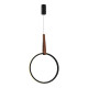 Подвесная люстра ST Luce Shape SL6131.403.20