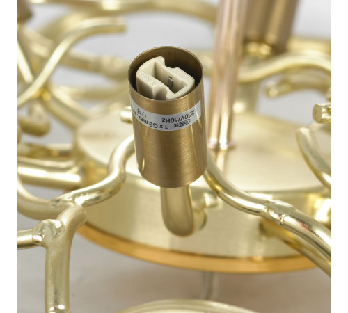 Подвесная люстра Lussole Adams LSP-8605 Подвесная люстра Lussole Adams LSP-8605