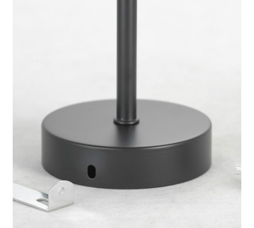 Подвесная люстра Lussole Loft Fishers LSP-8798