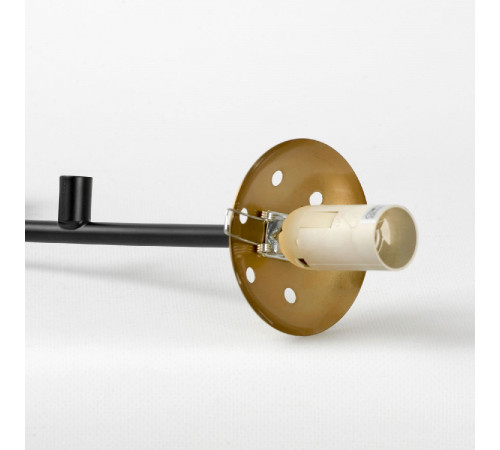 Подвесная люстра Lussole LSP-8891 Подвесная люстра Lussole LSP-8891