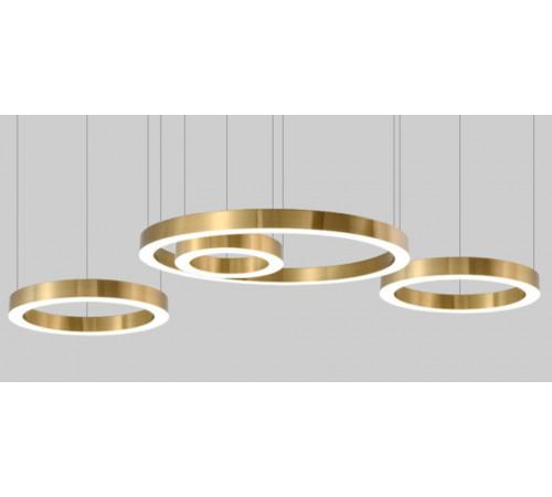 Подвесная люстра ImperiumLoft Light Ring Horizontal 177927-22