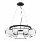 Подвесная люстра ST Luce Beata SL1189.403.06