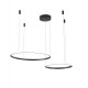 Подвесная люстра Zortes Ringolight ZRS.33321.63F
