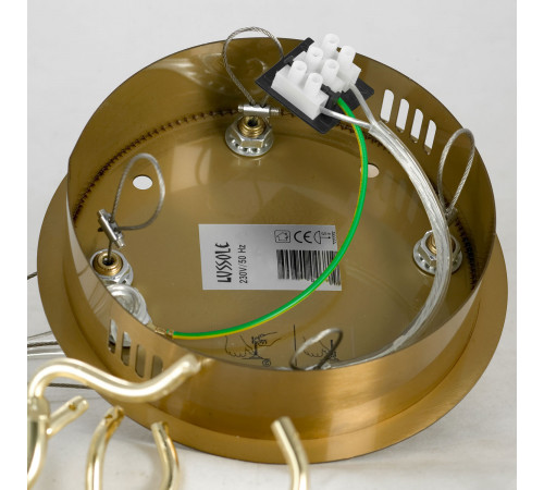 Подвесная люстра Lussole Lamar LSP-8597