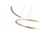 Подвесная люстра Zortes Ringolight ZRS.33320.63C