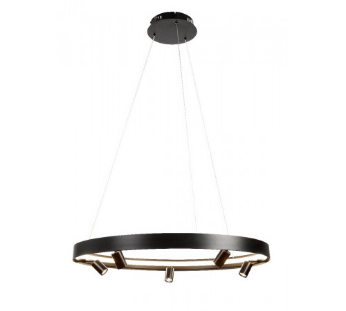 Подвесная люстра Myfar James MR2201-1PL