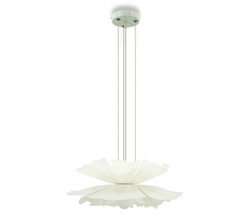 Подвесная люстра Lightera Chad LE116L-40W Подвесная люстра Lightera Chad LE116L-40W