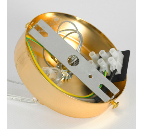 Подвесная люстра Lussole Davie LSP-8778 Подвесная люстра Lussole Davie LSP-8778