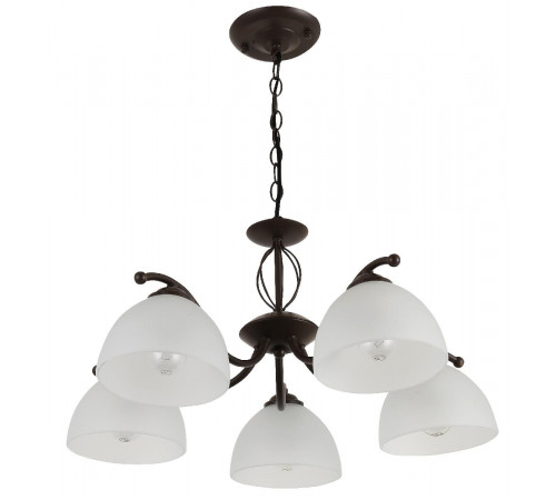 Подвесная люстра Rivoli Jackeline 9141-305 Б0054758