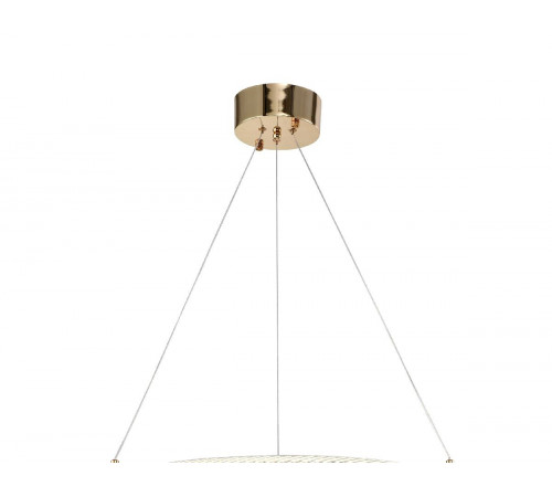 Подвесная люстра Zortes Ringer ZRS.57792.116