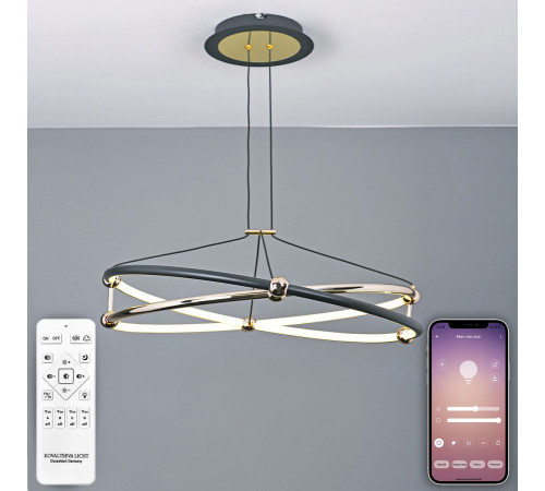 Подвесная люстра Natali Kovaltseva HIGH-TECH LED LAMPS 82049 Подвесная люстра Natali Kovaltseva HIGH-TECH LED LAMPS 82049
