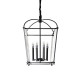 Подвесная люстра DeLight Collection BRCH9123BK