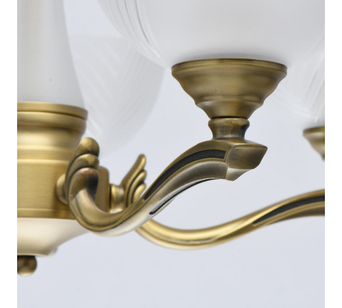 Подвесная люстра MW-Light Афродита 317014705