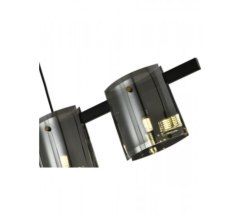 Подвесная люстра Zortes Rony ZRS.1209.01