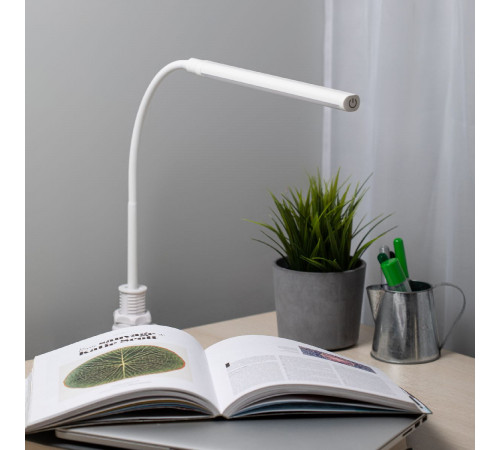 Настольная лампа Эра NLED-509-8W-W Б0059841
