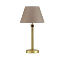 Настольная лампа Lumion Montana 4429/1T